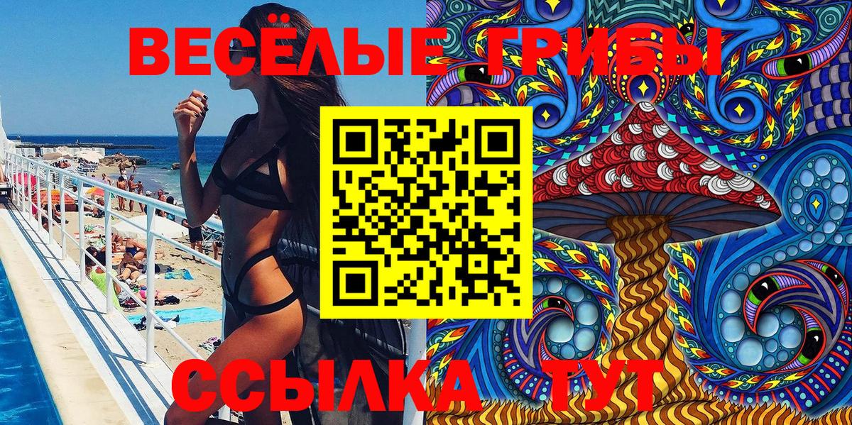 Галлюциногенные грибы Cubensis  Вход с VPN  Моздок 